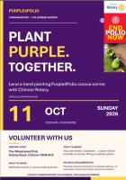 Purple4Polio volunteering